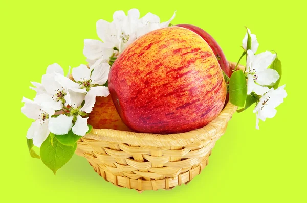 Röda äpplen i en korg med blommor — Stockfoto