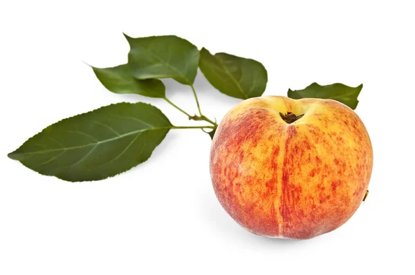 Peach with green leaves — Stock Photo, Image