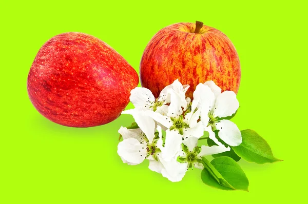 Red apples with flowers — Stock Photo, Image