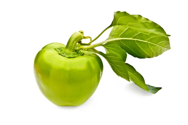 Grön paprika med blad — Stockfoto