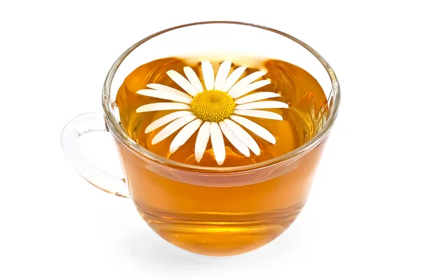 Chá de ervas em uma xícara de vidro com camomila — Fotografia de Stock
