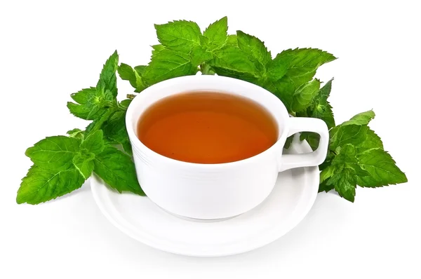 Трав'яний чай в білій чашці з м'ятою — стокове фото