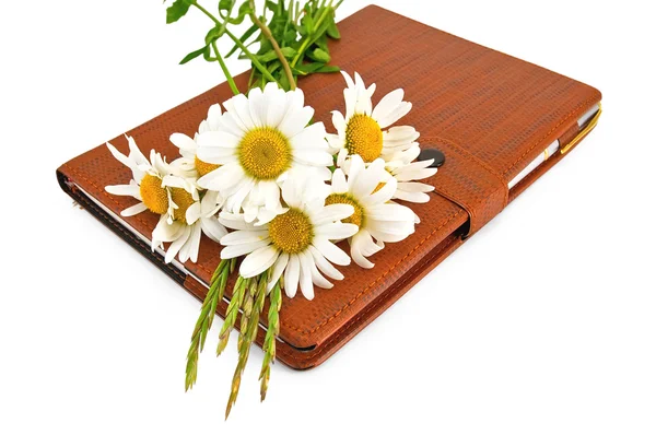 Notebook with pen and daisies — Stock Photo, Image