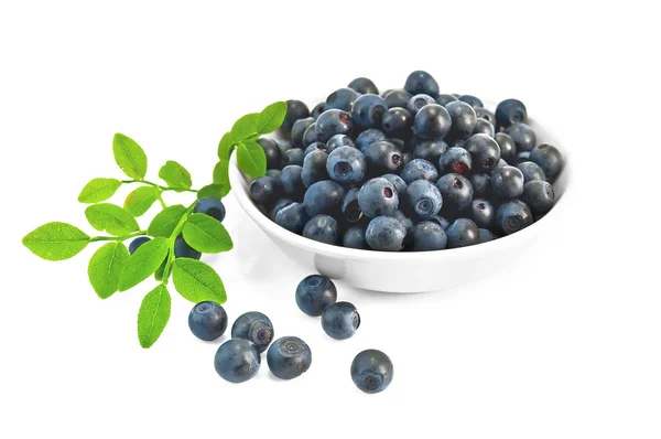 Blueberries in a bowl with a sheet — Stock Photo, Image