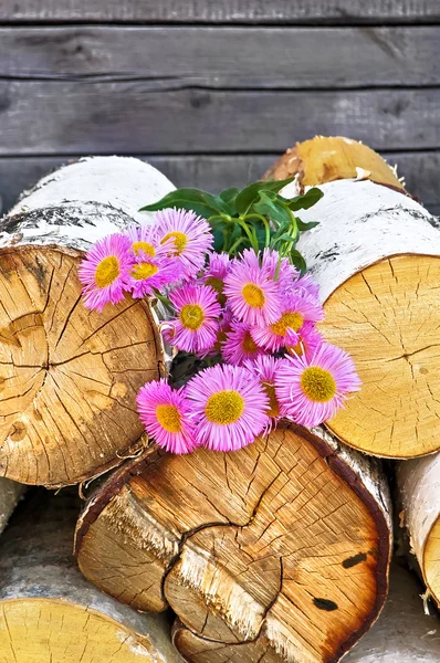 Pink flowers on wood — Stock Photo, Image