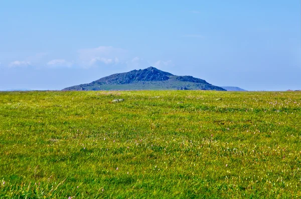 stock image Top of the mountain on the background of meadows