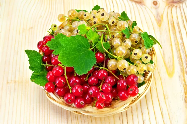 White and red currants on a plate