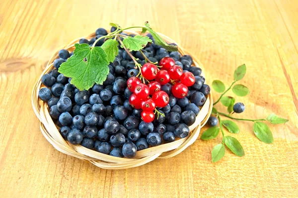 Blueberries with sprigs of red currants on the board — Stock Photo, Image