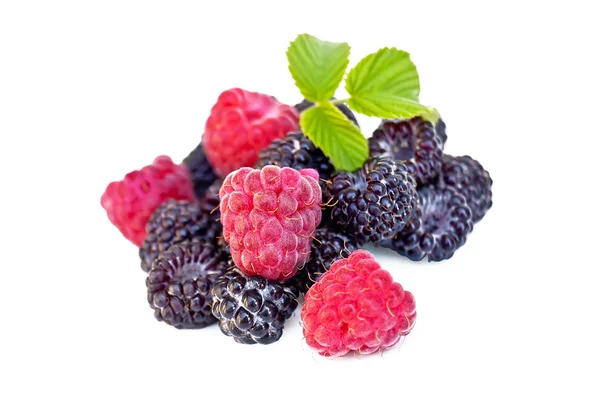 树莓和黑莓与表 — 图库照片