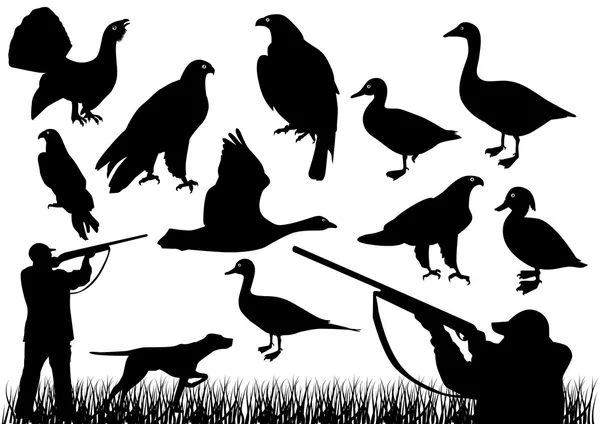 Duck hunting — Stock Vector