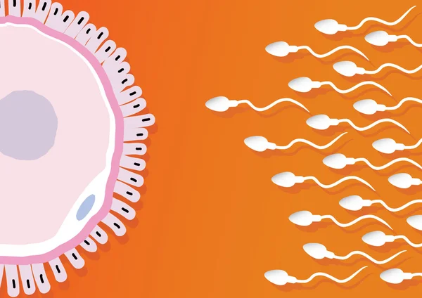 Carrera de esperma — Archivo Imágenes Vectoriales