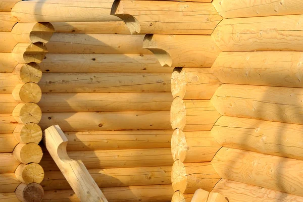 stock image Pine log cabin