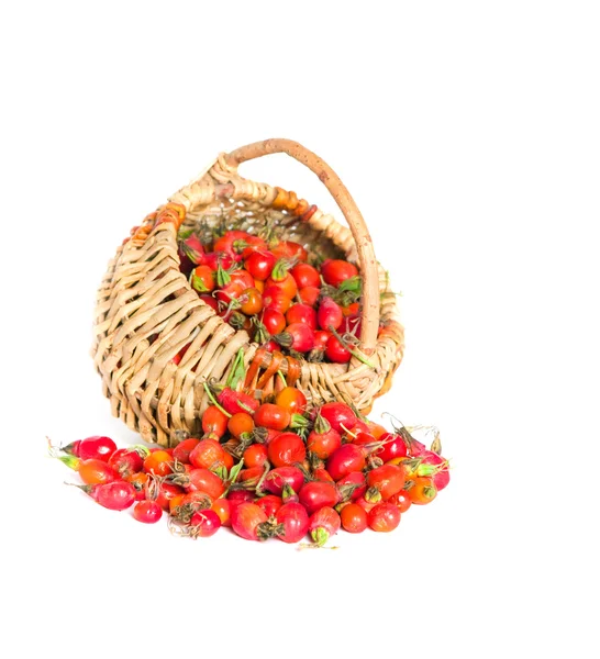 Dogrose in a basket — Stock Photo, Image