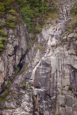 lysefjorden Norveç'te banka şelale