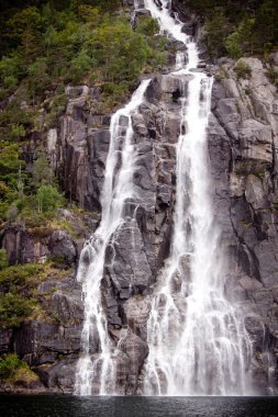 lysefjorden Norveç'te banka şelale