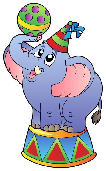 Cartoon circus olifant — Stockvector