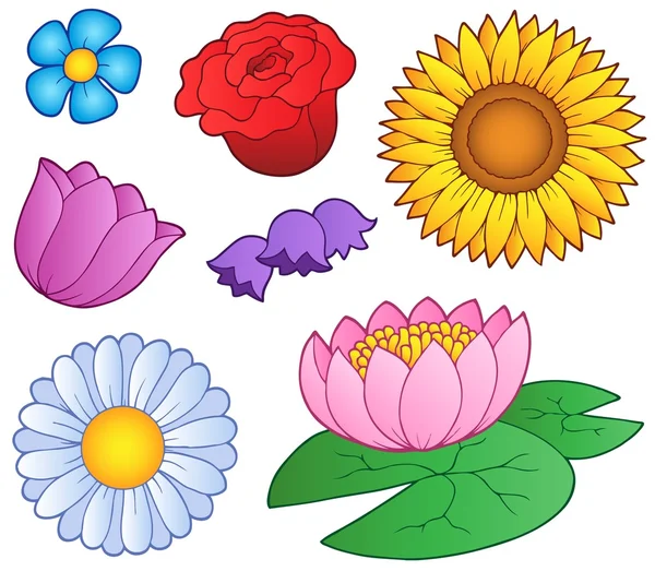 Différentes fleurs ensemble — Image vectorielle