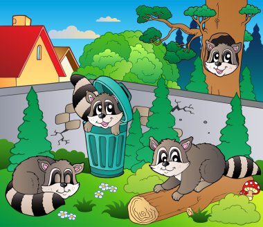 Backyard with cute racoons clipart