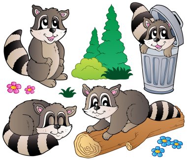 Cartoon racoons collection clipart