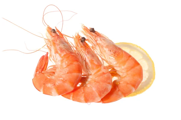 Fresh shrimp — Stock Photo, Image