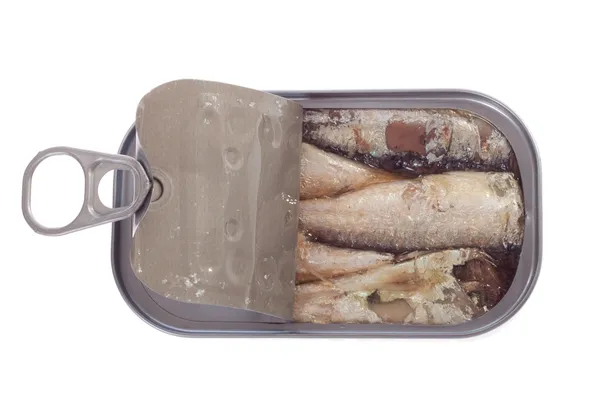 Can of sardines — Stock Photo, Image