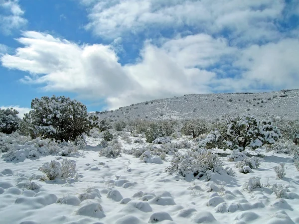 Зимний пейзаж, снежная природа. деревья, горы — стоковое фото