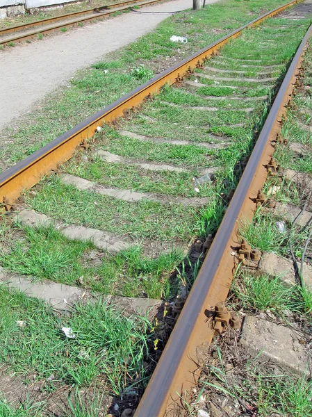 Σκουριασμένο τρένο σιδηροδρομικών και πράσινο γρασίδι — Φωτογραφία Αρχείου