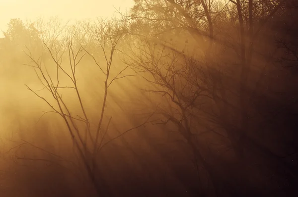 stock image Sorlnechnye beams