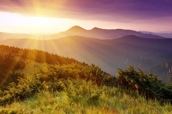Sommar landskap i bergen — Stockfoto