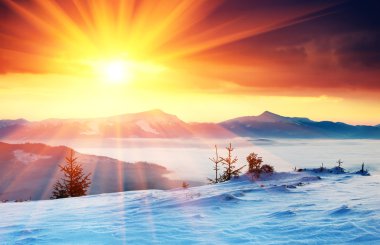 Winter landscape in mountains clipart