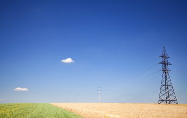 elektrik direkleri mavi gökyüzü ve buğday fiel Panoraması üzerinde net