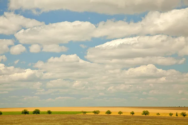 Platteland landschap in Bessarabië. Oekraïne. — Stockfoto
