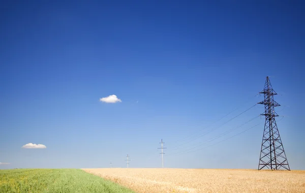 Elektrik direkleri mavi gökyüzü ve buğday fiel Panoraması üzerinde net — Stok fotoğraf