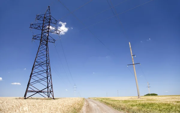 Elektrická síť Poláků na panoráma modré oblohy a pšeničných polí — Stock fotografie