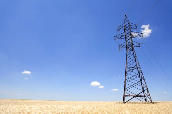 Rete elettrica di pali su un panorama di cielo azzurro e fiel di grano — Foto Stock