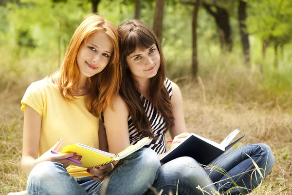 Dwie dziewczyny odrabiania lekcji w parku. — Zdjęcie stockowe