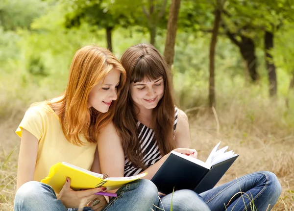 Duas namoradas fazendo lição de casa no parque . — Fotografia de Stock