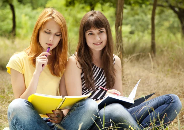 Two girlfriends doing homework at the park. — Stock Photo, Image