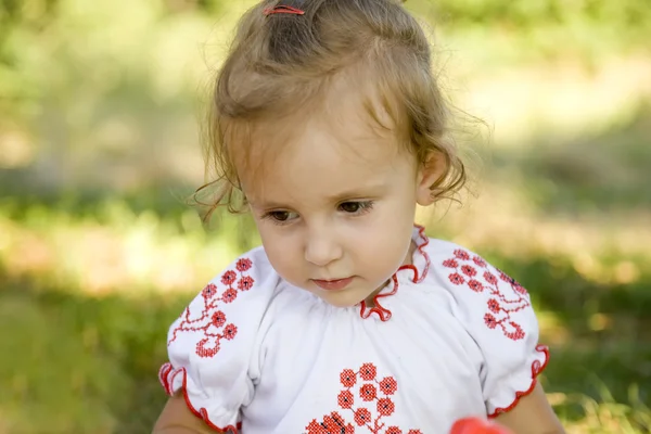 小さな女の子が t で緑の芝生にウクライナの伝統的な衣装 — ストック写真