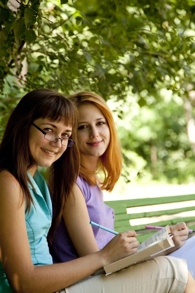公園で宿題をやっている 2 つのガール フレンド. — ストック写真