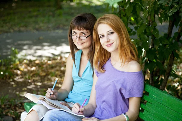 Deux copines qui font leurs devoirs au parc . — Photo