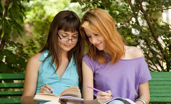 Dos novias haciendo deberes en el parque . — Foto de Stock