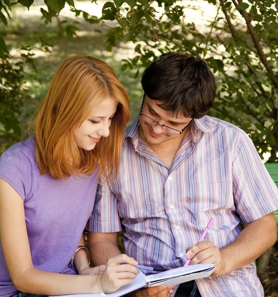 Two students at outdoor doing homework. Royalty Free Stock Images