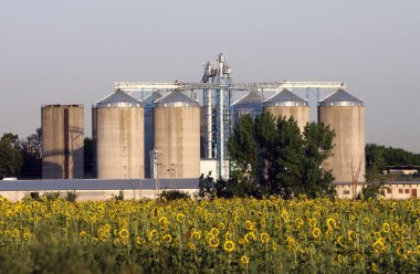 View of grain silos clipart