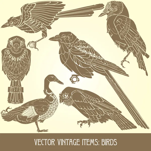 Πουλιά - ποικιλία πουλιών vintage εικονογραφήσεις — Διανυσματικό Αρχείο