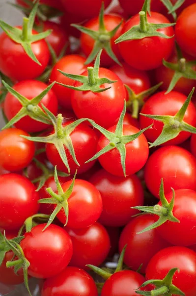 stock image Cherry Tomato