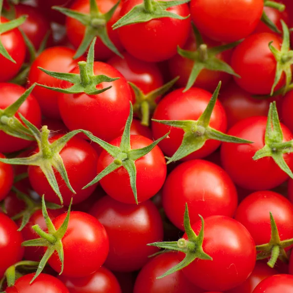 stock image Cherry Tomato