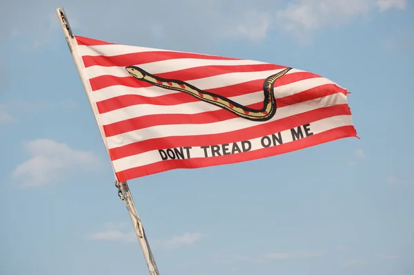 stock image Navy Jack Flag