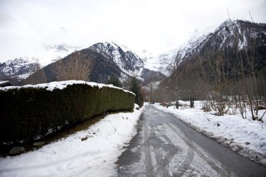 natuur in de bergen van de Alpendoğa Alp dağlarında