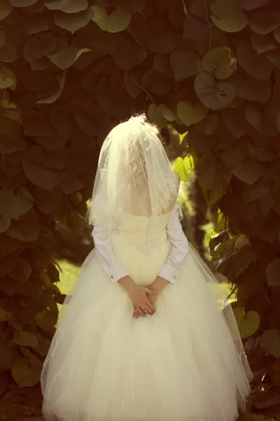 Жених обнимает свою невесту — стоковое фото